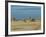 Lac Abbe (Lake Abhe Bad) With Its Chimneys, Republic of Djibouti, Africa-null-Framed Photographic Print