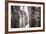 Lac Alaotra Bamboo Lemur (Hapalemur Alaotrensis), Lemur Island, Andasibe-Matthew Williams-Ellis-Framed Photographic Print