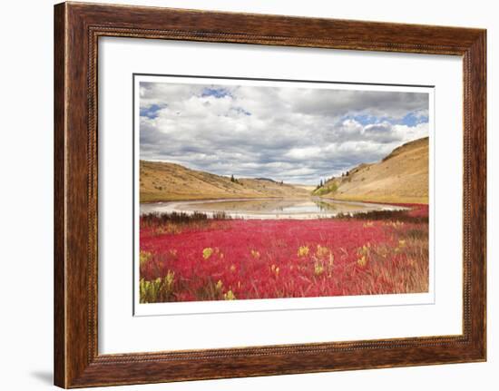 Lac Du Bois Grasslands Park I-Donald Paulson-Framed Giclee Print