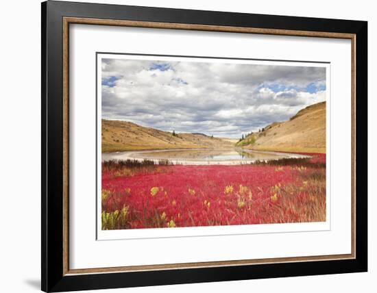 Lac Du Bois Grasslands Park I-Donald Paulson-Framed Giclee Print