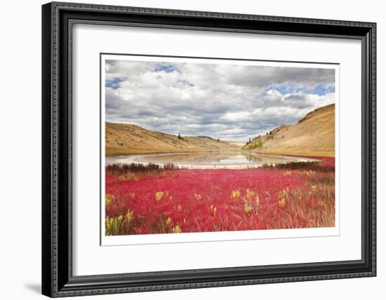 Lac Du Bois Grasslands Park I-Donald Paulson-Framed Giclee Print