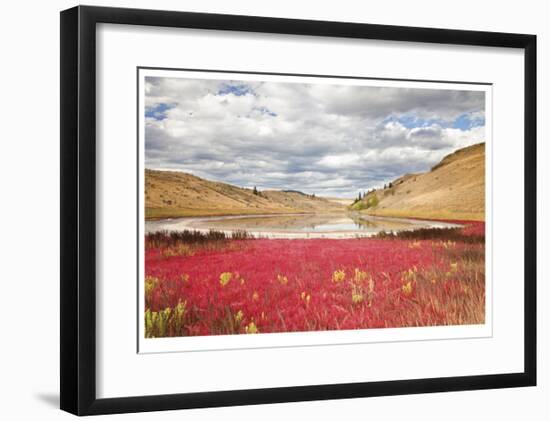 Lac Du Bois Grasslands Park I-Donald Paulson-Framed Giclee Print