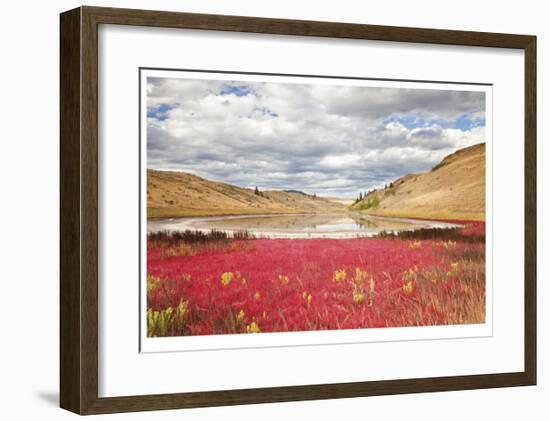 Lac Du Bois Grasslands Park I-Donald Paulson-Framed Giclee Print