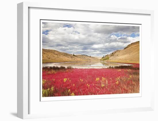 Lac Du Bois Grasslands Park I-Donald Paulson-Framed Giclee Print