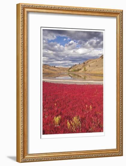 Lac du Bois Grasslands Park II-Donald Paulson-Framed Giclee Print