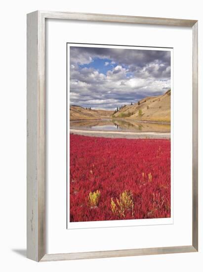 Lac du Bois Grasslands Park II-Donald Paulson-Framed Giclee Print