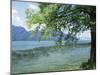 Lac Du Bourget, Near Aix Les Bains, Rhone Alpes, France-Michael Busselle-Mounted Photographic Print