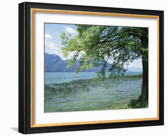 Lac Du Bourget, Near Aix Les Bains, Rhone Alpes, France-Michael Busselle-Framed Photographic Print