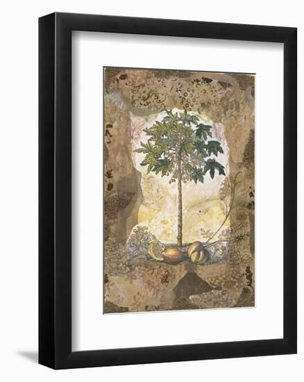 Lace and Papaya-David Hewitt-Framed Giclee Print