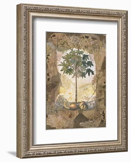 Lace and Papaya-David Hewitt-Framed Giclee Print