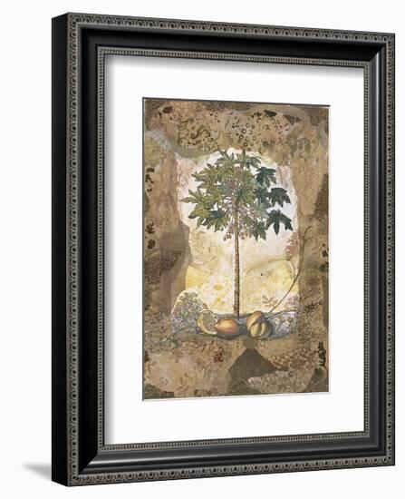 Lace and Papaya-David Hewitt-Framed Giclee Print