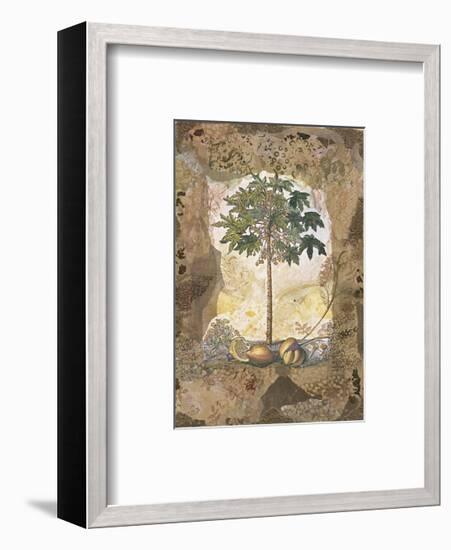 Lace and Papaya-David Hewitt-Framed Giclee Print