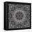 Lace Background: White on Black, Mandala-Katyau-Framed Stretched Canvas