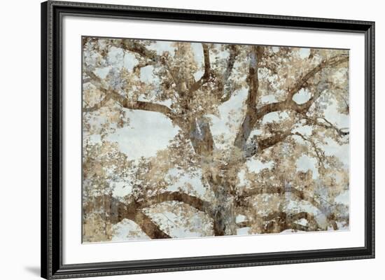 Lace Canopy-Tania Bello-Framed Giclee Print