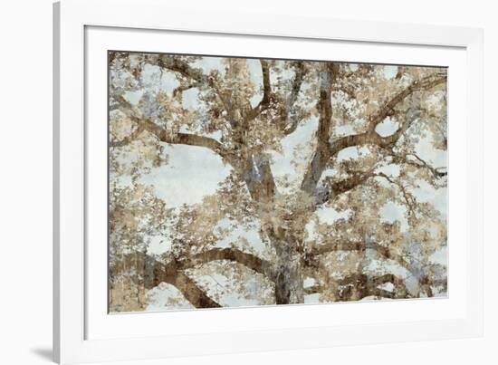 Lace Canopy-Tania Bello-Framed Giclee Print