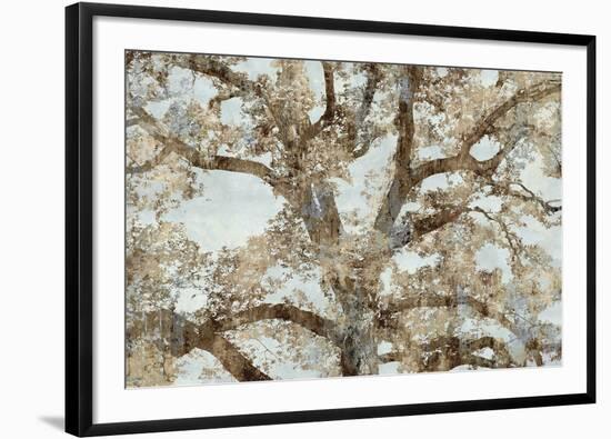 Lace Canopy-Tania Bello-Framed Giclee Print