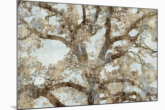 Lace Canopy-Tania Bello-Mounted Giclee Print