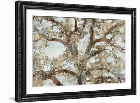 Lace Canopy-Tania Bello-Framed Giclee Print