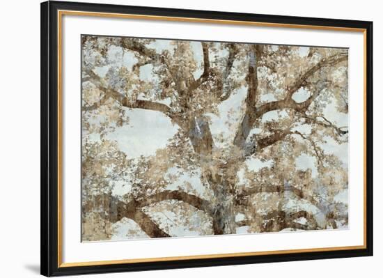 Lace Canopy-Tania Bello-Framed Giclee Print