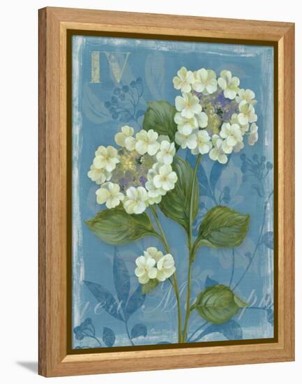 Lace Hydrangea-Pamela Gladding-Framed Stretched Canvas