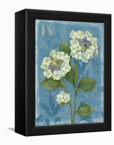 Lace Hydrangea-Pamela Gladding-Framed Stretched Canvas