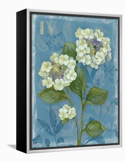 Lace Hydrangea-Pamela Gladding-Framed Stretched Canvas