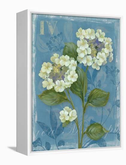 Lace Hydrangea-Pamela Gladding-Framed Stretched Canvas