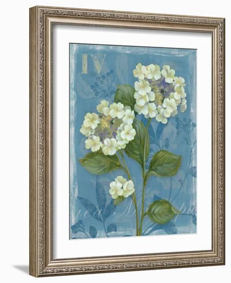 Lace Hydrangea-Pamela Gladding-Framed Art Print