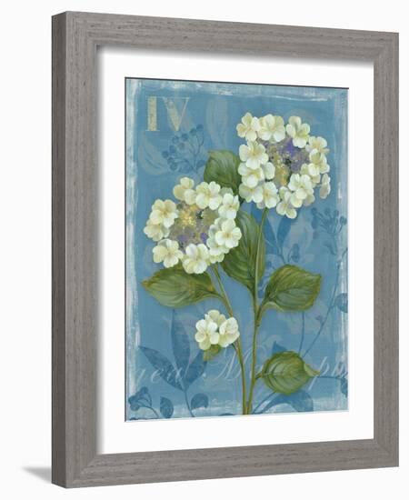 Lace Hydrangea-Pamela Gladding-Framed Art Print