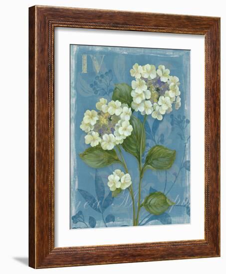 Lace Hydrangea-Pamela Gladding-Framed Art Print