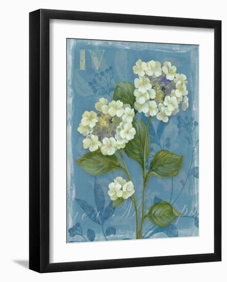 Lace Hydrangea-Pamela Gladding-Framed Art Print