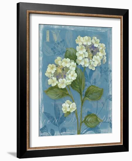 Lace Hydrangea-Pamela Gladding-Framed Art Print