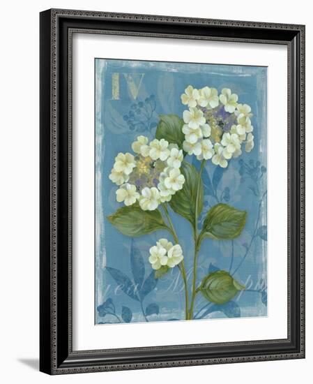 Lace Hydrangea-Pamela Gladding-Framed Art Print