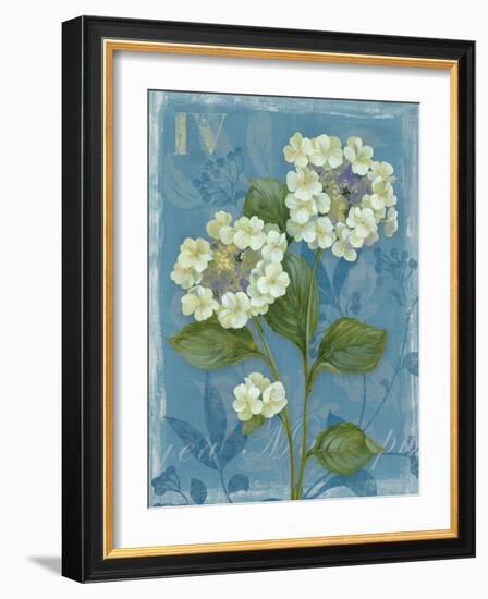 Lace Hydrangea-Pamela Gladding-Framed Art Print