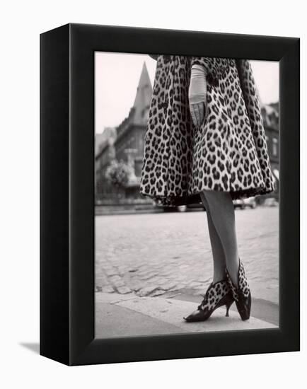 Laced Bootees of Leopard, to Match Coat, Designed by Dior-Paul Schutzer-Framed Premier Image Canvas