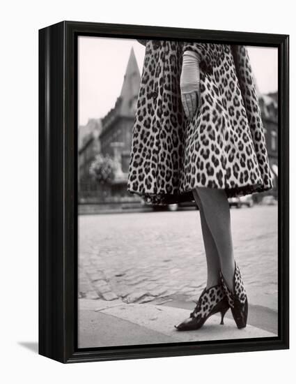 Laced Bootees of Leopard, to Match Coat, Designed by Dior-Paul Schutzer-Framed Premier Image Canvas