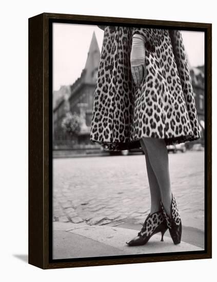 Laced Bootees of Leopard, to Match Coat, Designed by Dior-Paul Schutzer-Framed Premier Image Canvas