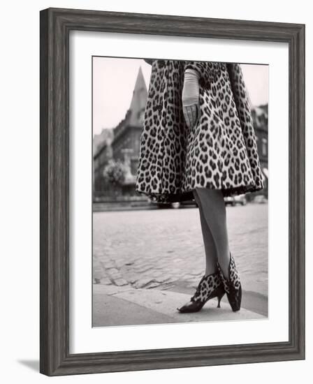 Laced Bootees of Leopard, to Match Coat, Designed by Dior-Paul Schutzer-Framed Photographic Print