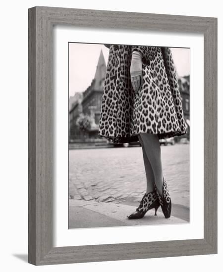 Laced Bootees of Leopard, to Match Coat, Designed by Dior-Paul Schutzer-Framed Photographic Print