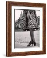 Laced Bootees of Leopard, to Match Coat, Designed by Dior-Paul Schutzer-Framed Photographic Print