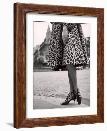 Laced Bootees of Leopard, to Match Coat, Designed by Dior-Paul Schutzer-Framed Photographic Print