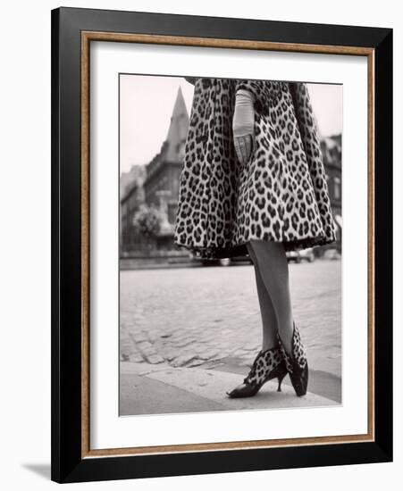 Laced Bootees of Leopard, to Match Coat, Designed by Dior-Paul Schutzer-Framed Photographic Print