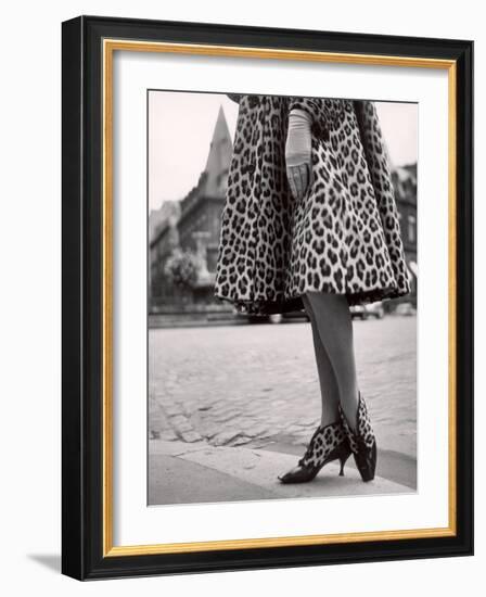 Laced Bootees of Leopard, to Match Coat, Designed by Dior-Paul Schutzer-Framed Photographic Print