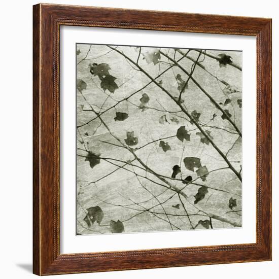 Laced Sky II-Sharon Chandler-Framed Art Print