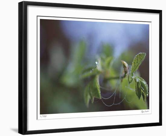 Laced-Michelle Wermuth-Framed Giclee Print