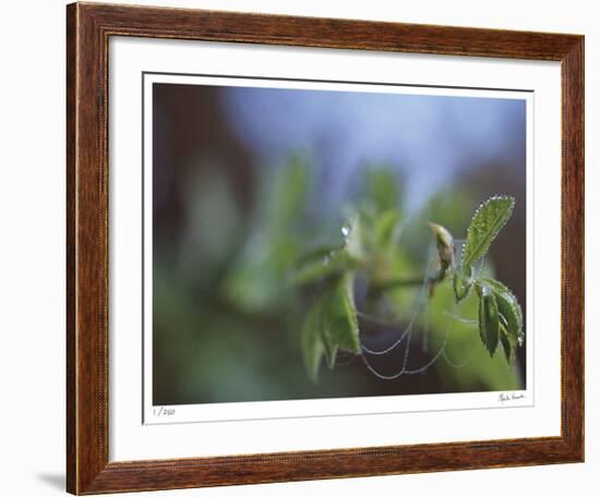 Laced-Michelle Wermuth-Framed Giclee Print
