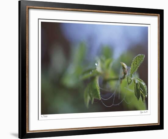 Laced-Michelle Wermuth-Framed Giclee Print