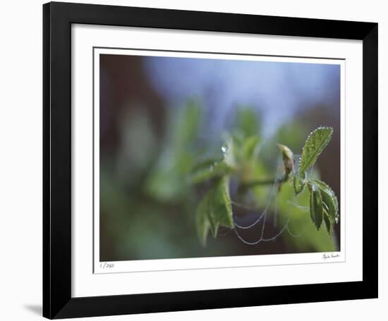 Laced-Michelle Wermuth-Framed Giclee Print