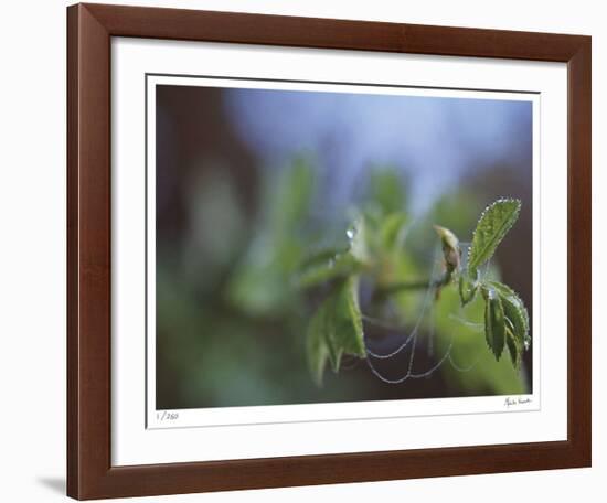Laced-Michelle Wermuth-Framed Giclee Print