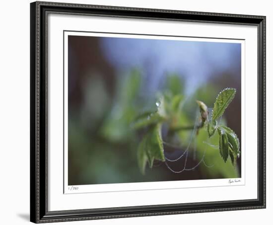 Laced-Michelle Wermuth-Framed Giclee Print